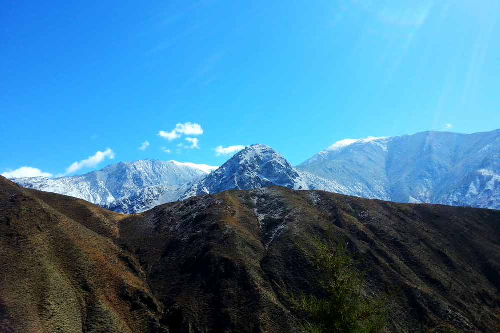 1617176776766309.jpg 高原藍(lán) (4).jpg