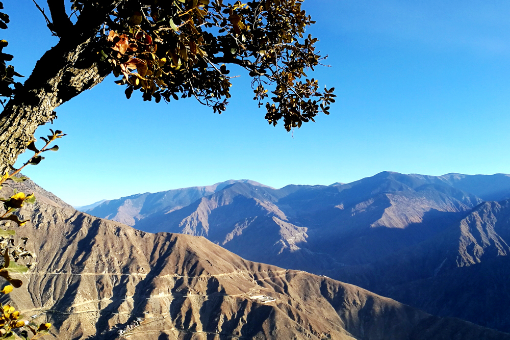 1617176830689110.jpg 高原藍(lán) (5).jpg