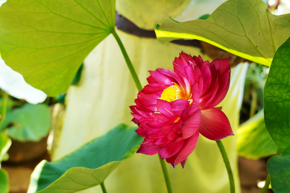 1640224695419473.jpg 2.JPG