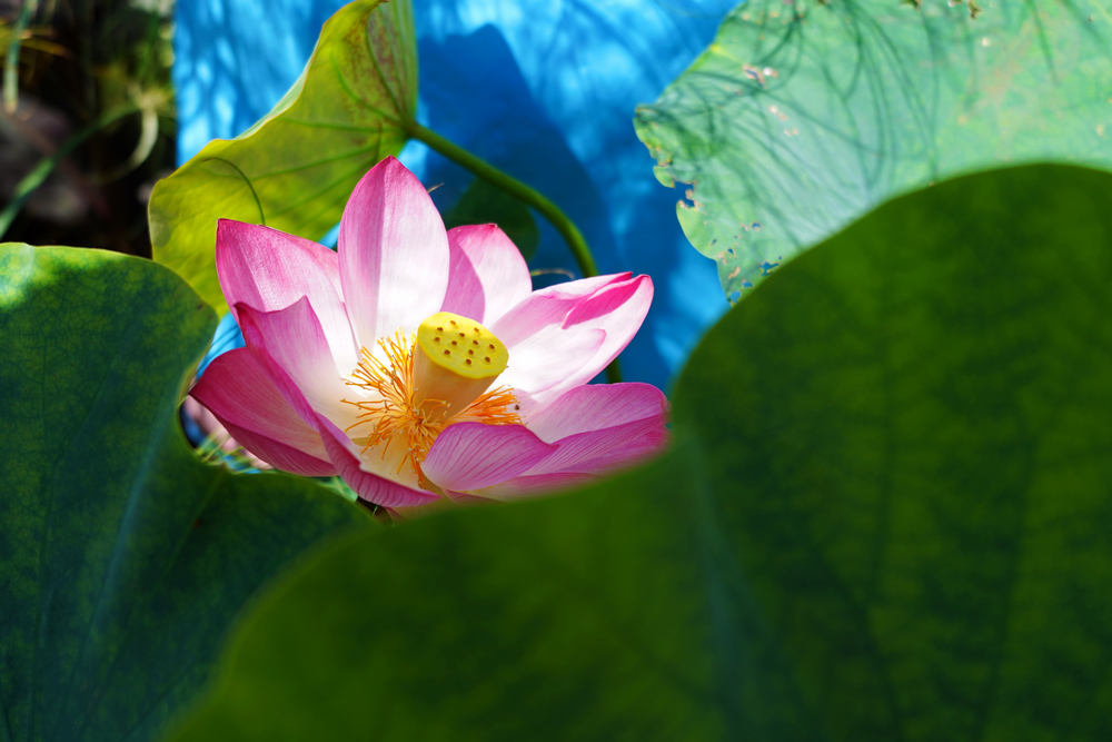 1640224710668627.jpg 3.JPG