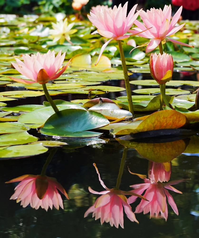 1640224733170750.jpg 4.JPG