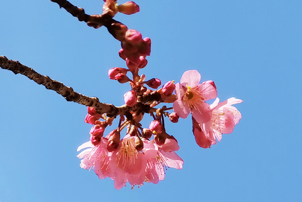 1642056635126844.jpg 1.jpg