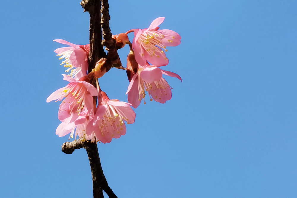 1642056652205648.jpg 2.jpg