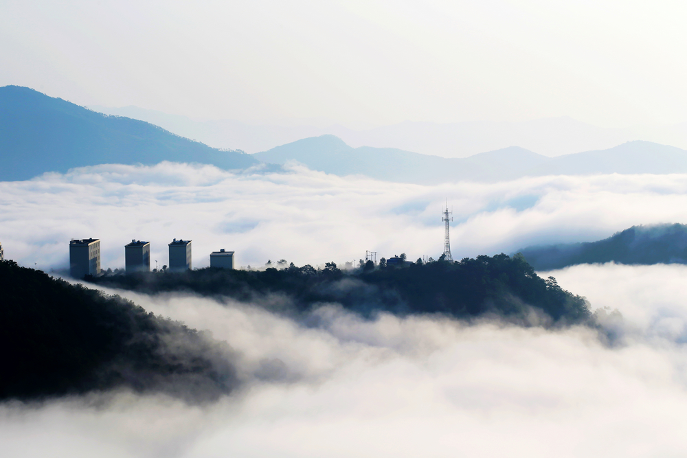 1644201792831287.jpg 照片《邦東云霧》-爨玉公司 程秀梅.jpg