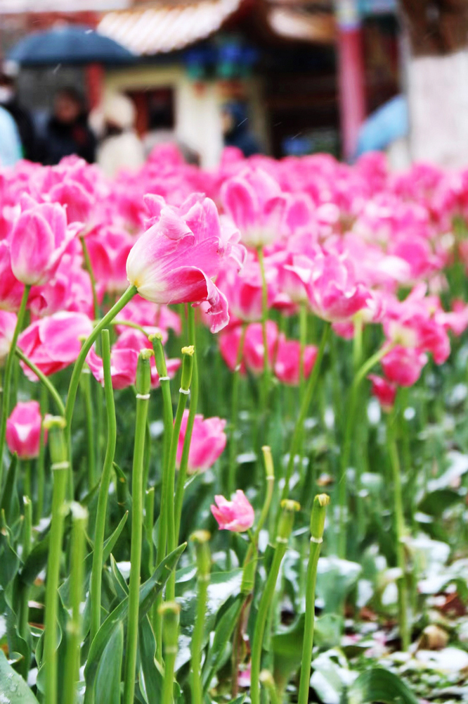 1647423735100616.jpg 微信圖片_20220225173215.jpg