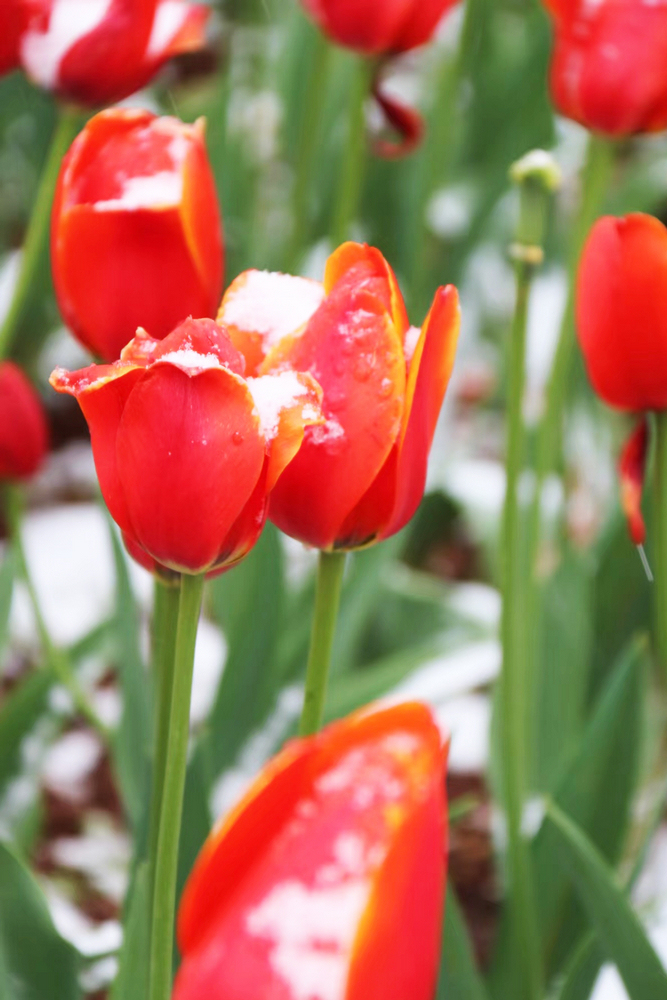 1647423773957112.jpg 微信圖片_20220225172744.jpg