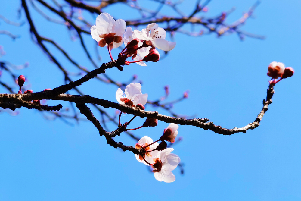 1647428179577357.jpg 1.jpg