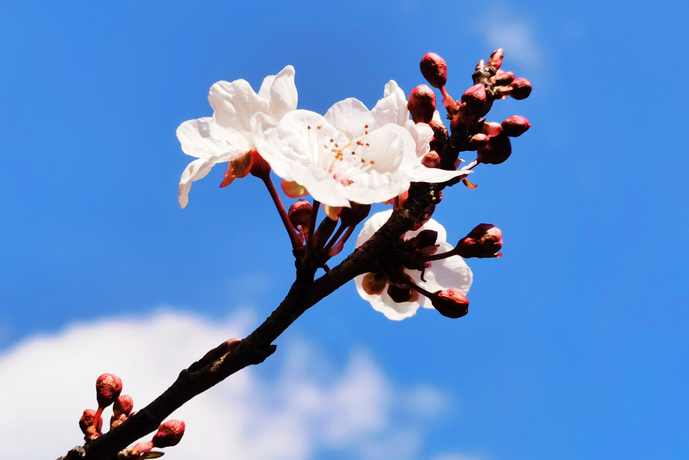 1647428272700170.jpg 2.jpg