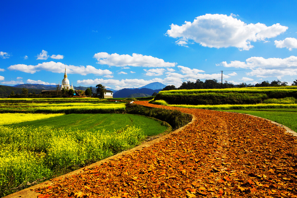 1647428351695522.jpg 2.jpg